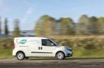 Fiat Doblo Cargo Maxi Natural Power 2017 года